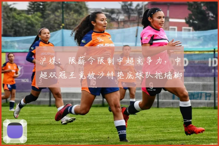 沪媒：限薪令限制中超竞争力，中超双冠王竟被沙特垫底球队挖墙脚