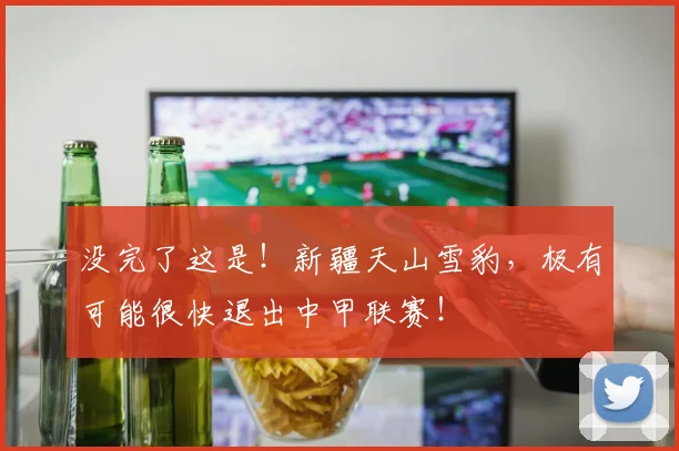 没完了这是！新疆天山雪豹，极有可能很快退出中甲联赛！